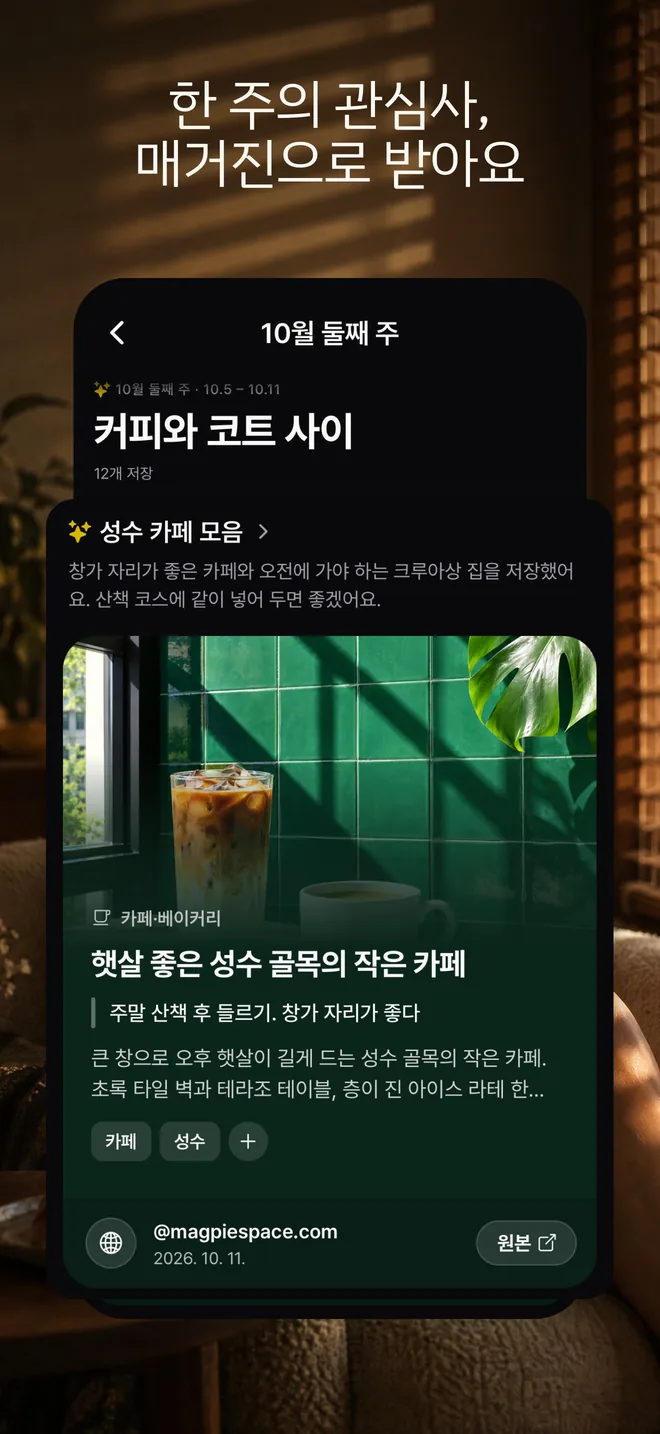 한 주의 관심사, 매거진으로 받아요